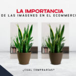 Imágenes en Ecommerce ¿Conoces su importancia?